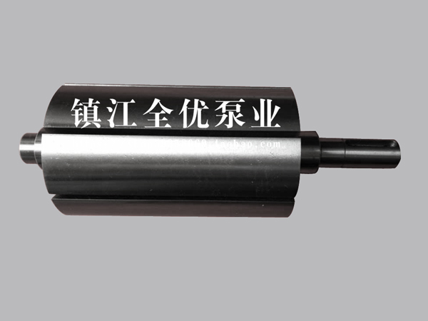 ZYBW轉子(zi)氣泵配(pei)件