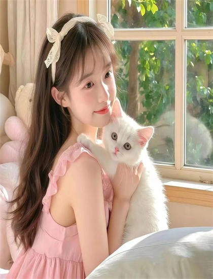 《世界致命动物系列里程碑式的：中美洲篇》文化理解指南：背景知识与文化差异